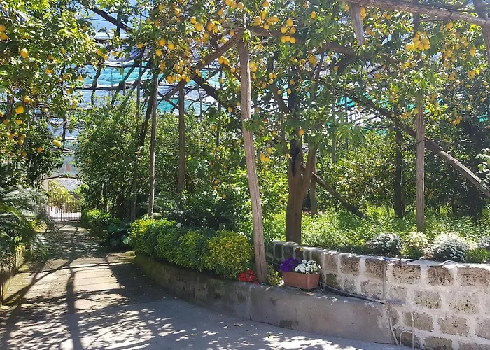 Villa Carmela